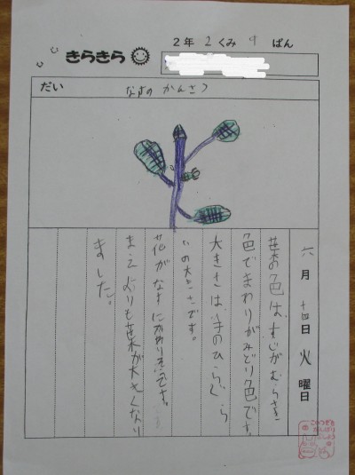 ナス1